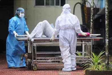 Virus Nipah nguy hiểm như thế nào?