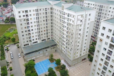 Quy định chi tiết một số điều của Luật Nhà ở về phát triển và quản lý nhà ở xã hội