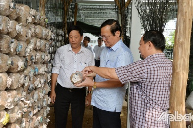 Tiền Giang: Ứng dụng khoa học công nghệ vào sản xuất kinh doanh, phát triển Sòng Bài Trực Tuyến 13Win.com bền vững
