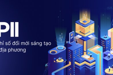 Chính thức công bố khung Chỉ số đổi mới sáng tạo cấp địa phương PII năm 2024
