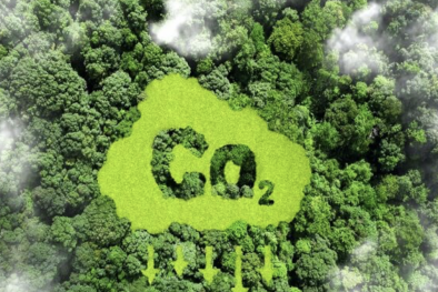 Nhanh chóng hoàn thiện khung pháp lý, chuẩn bị nhân lực cho thị trường tín chỉ carbon