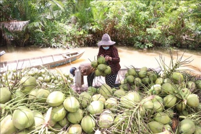 Việt Nam - Trung Quốc ký kết 3 nghị định thư, mở đường xuất khẩu cho nông sản Việt