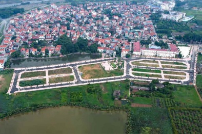 Chấn chỉnh công tác đấu giá quyền sử dụng đất
