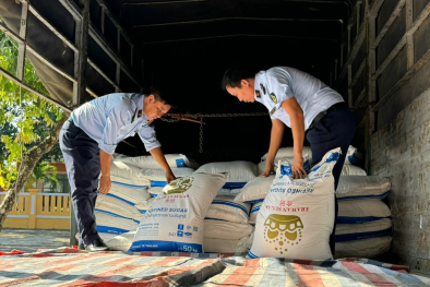 Phú Yên: Tạm giữ 16 tấn đường cát không có hóa đơn chứng từ hợp pháp