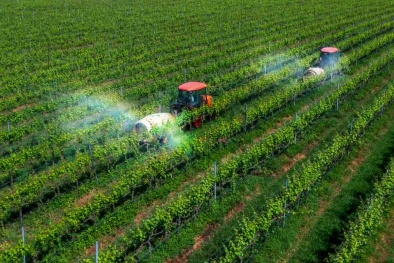 Tái cơ cấu Đăng ký và nhận 60K 24 bao lì xì miễn phí mỗi ngày: Khoa học công nghệ là chìa khóa đưa nông sản Việt vươn xa