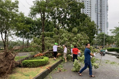 Bộ Y tế hướng dẫn người dân bảo vệ 13Win19 ưu đãi hấp dẫn trong mùa mưa, bão lũ