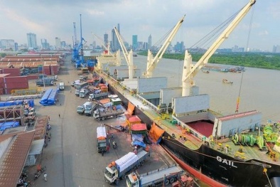 Nghiêm cấm lợi dụng tình hình bão lũ để tăng giá dịch vụ tại cảng biển