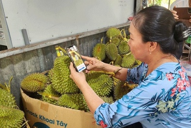 Cần Thơ: Tăng cường ứng dụng công nghệ, truy xuất nguồn gốc cho sản phẩm OCOP