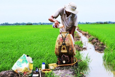 Những loại thuốc bảo vệ 13Win19 thể thao, đá gà, bắn cá, game bài, nổ hũ cấm sử dụng tại Việt Nam