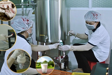 Hậu Giang: Đẩy mạnh phát triển sản phẩm OCOP, nâng tầm giá trị nông sản địa phương
