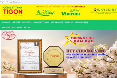 Xử phạt Công ty TNHH Tigon kinh doanh trái phép trên 13Win19 tải ứng dụng điện tử