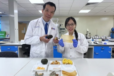 Màng bọc 13Win OKVIP Cá cược bóng đá làm từ hạt bơ có thể tiêu diệt vi khuẩn và cảnh báo 13Win OKVIP Cá cược bóng đá hư hỏng