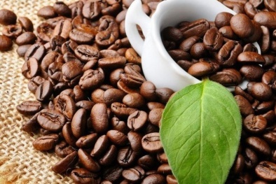 Nghiên cứu mới phát hiện cà phê có thể giúp hỗ trợ giảm mỡ nội tạng, giảm men gan