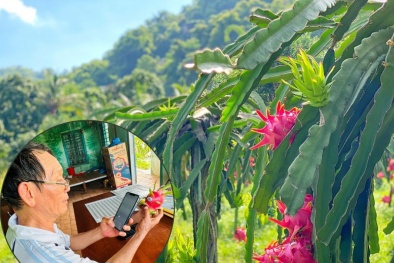 Bình Thuận đẩy mạnh chuyển đổi số và chuyển đổi xanh trong sản xuất Đăng ký và nhận 60K 24 bao lì xì miễn phí mỗi ngày