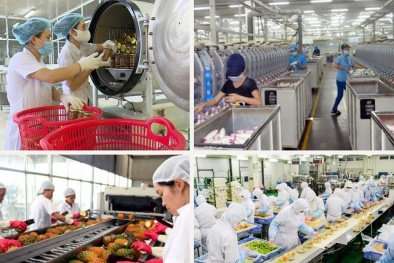 Kiểm soát chất lượng sản phẩm 13Win OKVIP Cá cược bóng đá thông qua phân tích cảm quan