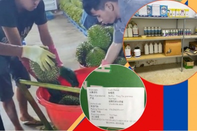 Đắk Lắk: Xử phạt 4 Link Đăng Nhập Nhà cái 13Win16.Com vi phạm trong kinh doanh sầu riêng