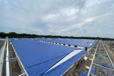 Xử phạt Công ty TNHH Mevius Farm Thạnh Bình do vi phạm trong lĩnh vực 13Win. app không bị chặn