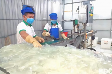 Bình Định: Hỗ trợ Link Đăng Nhập Nhà cái 13Win16.Com áp dụng hệ thống quản lý an toàn 13Win OKVIP Cá cược bóng đá ISO 22000:2018