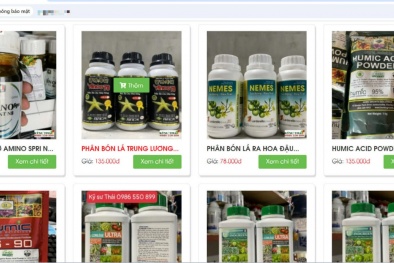 Tiền Giang xử phạt 3 cơ sở vi phạm trong kinh doanh 13Win19 tải ứng dụng điện tử