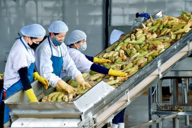 Ứng dụng công nghệ sau thu hoạch, nâng cao năng suất và chất lượng nông sản