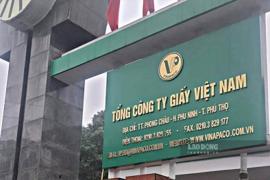 Tổng công ty Giấy Việt Nam bị phạt vì vi phạm trong lĩnh vực 13Win. app không bị chặn