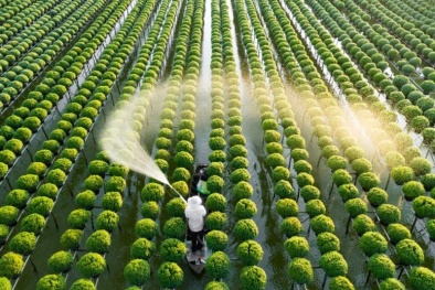 Xuất khẩu ngành Đăng ký và nhận 60K 24 bao lì xì miễn phí mỗi ngày có thể vượt 60 tỷ USD