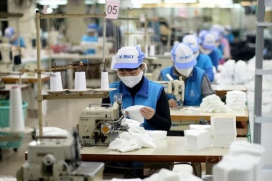 Công cụ bố trí mặt bằng góp phần nâng cao năng suất chất lượng, phát huy tối đa nguồn lực 
