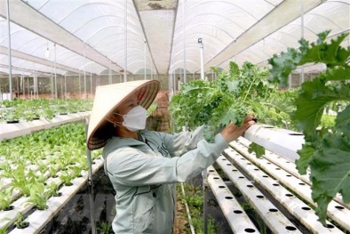 Các chính sách có hiệu lực từ tháng 11/2024