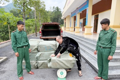 Kịp thời ngăn chặn 900kg nầm lợn đông lạnh không rõ nguồn gốc sắp ra thị trường