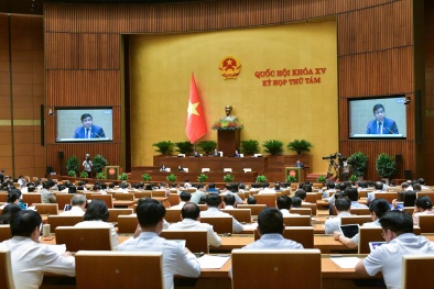 Một luật sửa bốn luật: Có thể cắt giảm thời gian TTHC trong đầu tư đến 260 ngày
