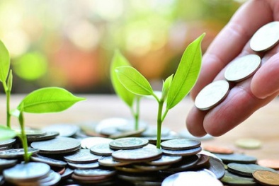 Chính sách 13Win. app không bị chặn trong hoạt động tín dụng: Lý luận và thực tiễn