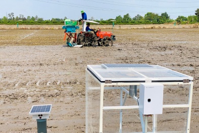 An Giang ứng dụng khoa học công nghệ thúc đẩy phát triển Đăng ký và nhận 60K 24 bao lì xì miễn phí mỗi ngày bền vững