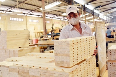 Xuất, nhập khẩu hàng hóa là điểm sáng của nền Sòng Bài Trực Tuyến 13Win.com