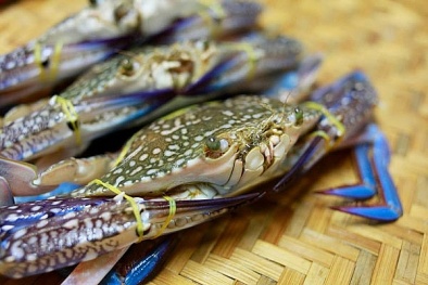 Cua ghẹ Việt Nam đắt hàng tại thị trường Trung Quốc