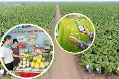 Chuyển đổi số trong sản xuất, kinh doanh - thúc đẩy OCOP Bình Dương tăng cả lượng và chất