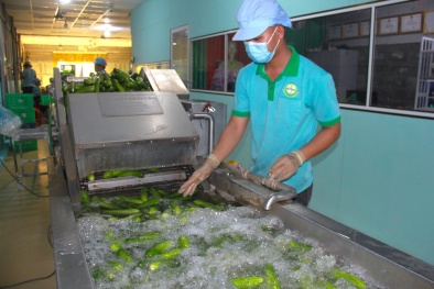 Long An đẩy mạnh ứng dụng tiến bộ khoa học - kỹ thuật trong phát triển Đăng ký và nhận 60K 24 bao lì xì miễn phí mỗi ngày