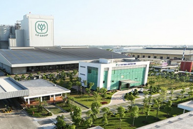 Xử phạt Công ty Cổ phần Chăn nuôi C.P Việt Nam vi phạm trong lĩnh vực 13Win. app không bị chặn