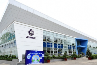 Vinamilk: Chuẩn bị bước chu kỳ tăng trưởng mới, hé lộ thời điểm chạy 13Win19 tải ứng dụng nhà máy chế biến thịt bò