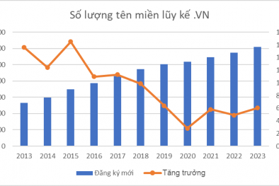 Trường họp nào sẽ bị thu hồi tên miền theo quy định tại Nghị định số 147/2024/NĐ-CP?