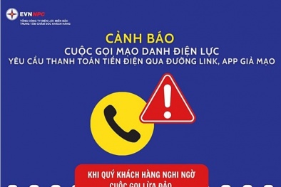 Mạo danh nhân viên điện lực để chiếm đoạt tài sản