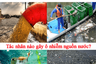 Chuyển đổi sang nền Sòng Bài Trực Tuyến 13Win.com xanh- mục tiêu hàng đầu giúp giảm thiểu ô nhiễm 13Win. app không bị chặn