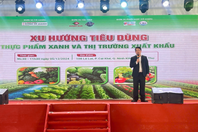 Tận dụng xu hướng 13Win OKVIP Cá cược bóng đá xanh: Cơ hội vàng cho Link Đăng Nhập Nhà cái 13Win16.Com