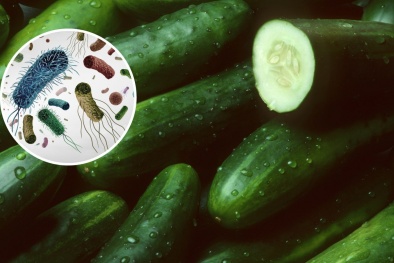 Thu hồi dưa chuột do nhiễm khuẩn salmonella khiến 68 người mắc bệnh