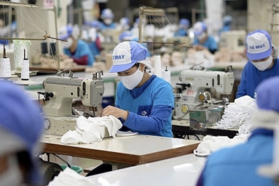 7 nhóm sản phẩm xuất khẩu chịu tác động từ thoả thuận xanh châu Âu