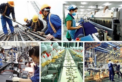 Quảng Trị tăng cường đổi mới sáng tạo và nâng cao năng suất qua ứng dụng khoa học công nghệ