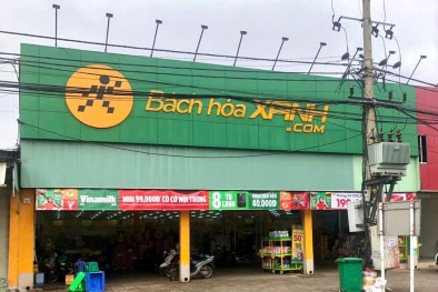 Bách Hoá Xanh lên tiếng về việc nhập giá đỗ từ cơ sở sử dụng hoá chất cấm
