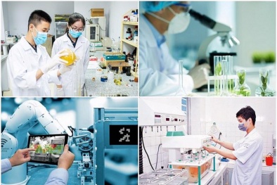 13Win18 tham gia cá cược ban hành Kế hoạch đẩy mạnh công tác tiêu chuẩn, đo lường, chất lượng quốc gia