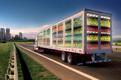 TCVN 13990:2024 - yêu cầu đối với dịch vụ logistic chuỗi lạnh cho 13Win OKVIP Cá cược bóng đá để truy xuất nguồn gốc