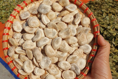 Cảnh báo: Không sử dụng bột hạt sang chữa bệnh dạ dày, đại tràng