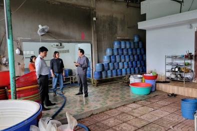 Đắk Lắk tiếp tục xử phạt 2 sở sản xuất giá đỗ không đảm bảo vệ sinh an toàn 13Win OKVIP Cá cược bóng đá